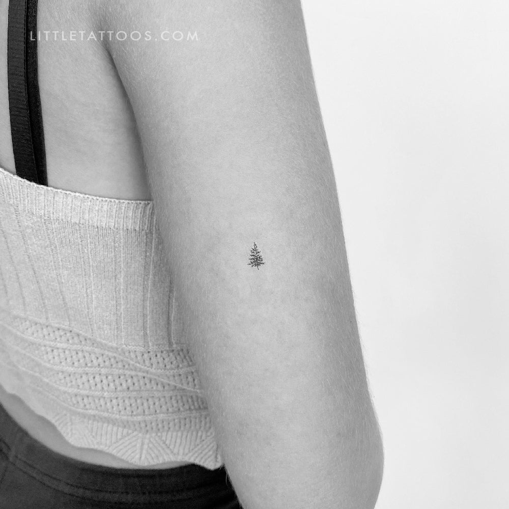 Tiny Pine Tree Temporary Tattoo - Set of 3