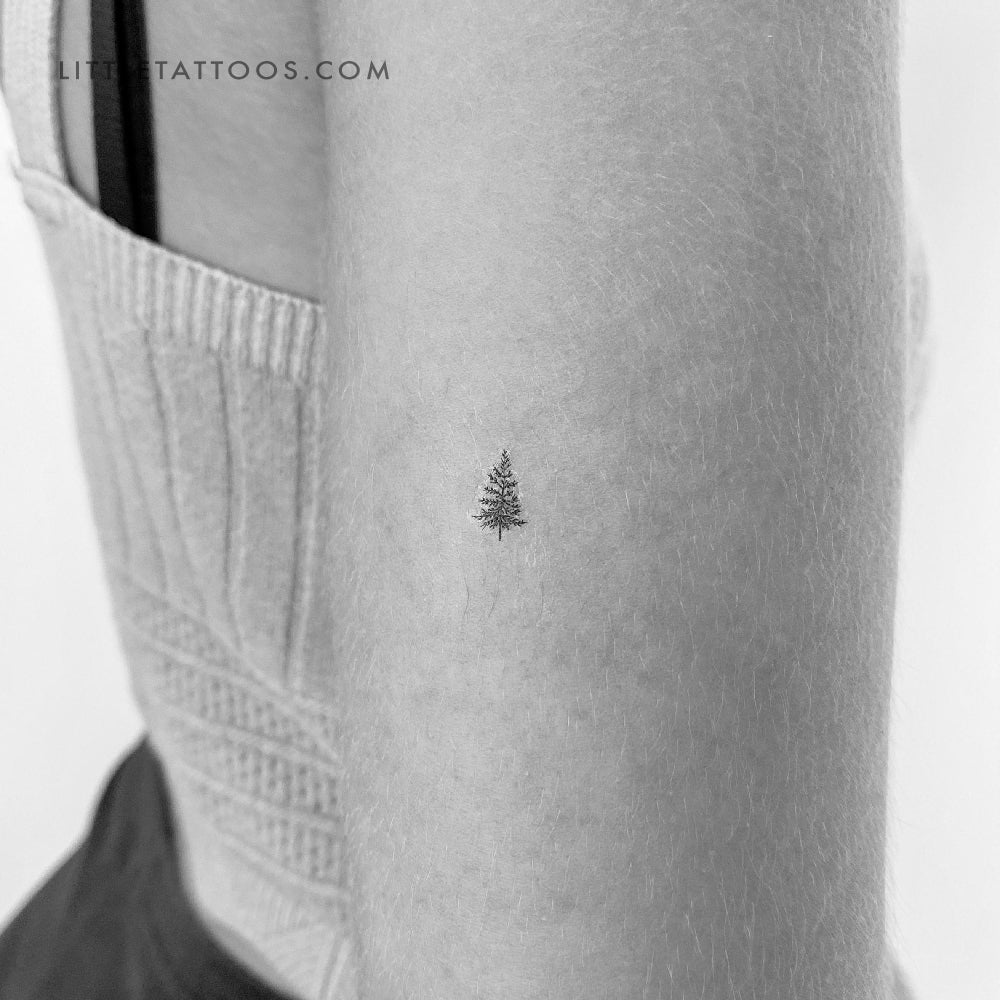 Tiny Pine Tree Temporary Tattoo - Set of 3