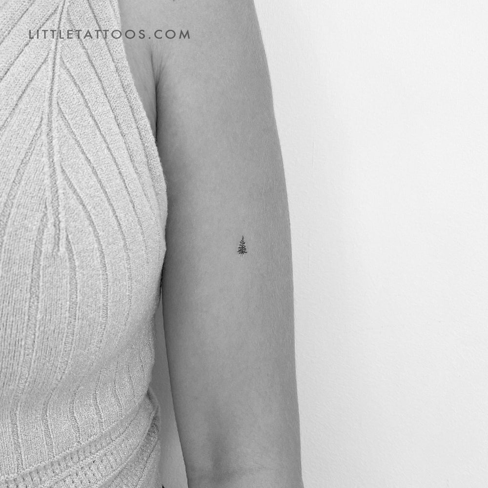 Tiny Pine Tree Temporary Tattoo - Set of 3