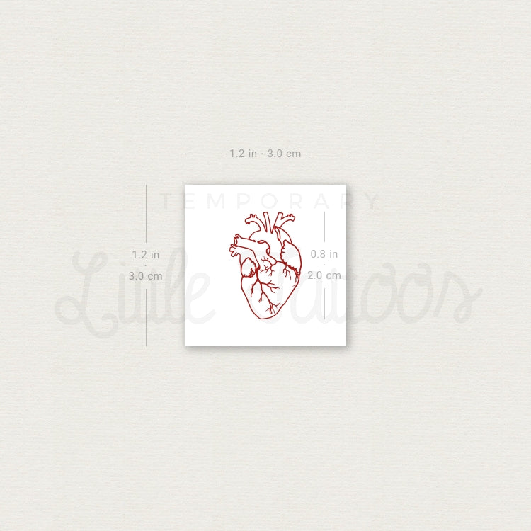 Small Red Anatomical Heart Temporary Tattoo - Set of 3