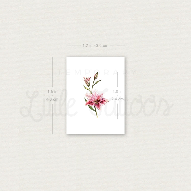 Lily Stargazer Temporary Tattoo by Lena - Set of 3