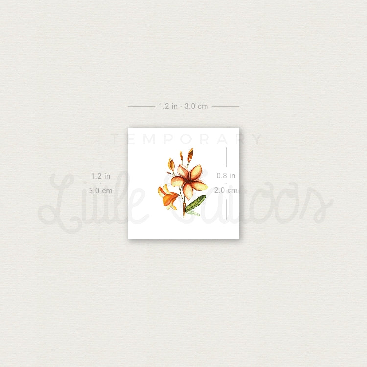 Plumeria Temporary Tattoo by Lena - Set of 3