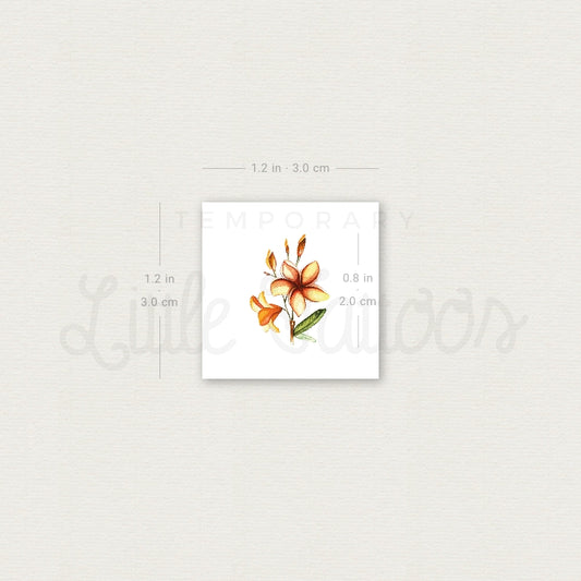 Tatuaje temporal de plumeria de Lena - Juego de 3