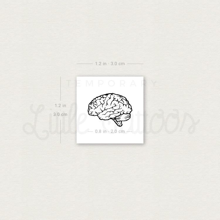 Tatuaje temporal de cerebro pequeño - Juego de 3