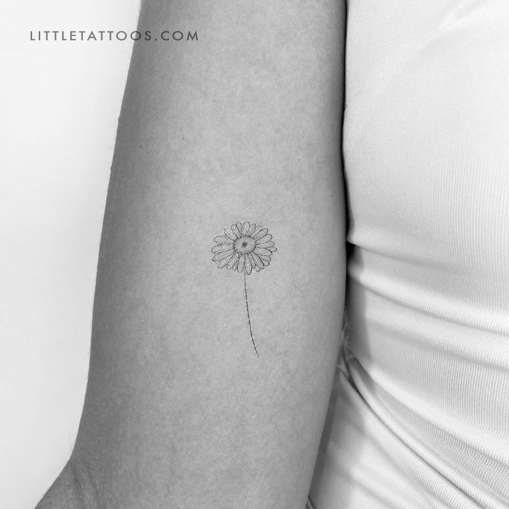 Tatuaje temporal de margarita de línea fina - Juego de 3