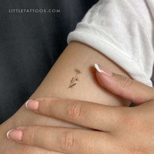 Tatuaje temporal de margarita de Lena - Juego de 3