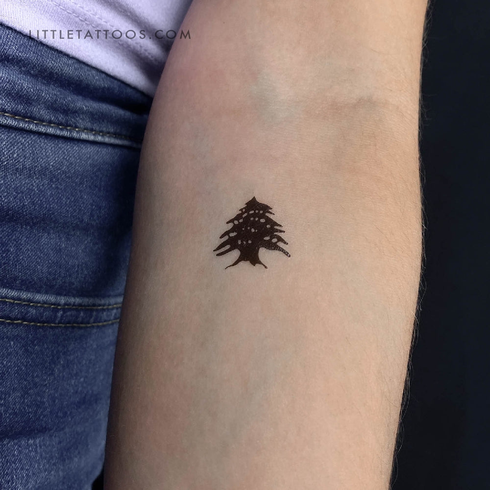 Cedar Tree Temporary Tattoo - Set of 3