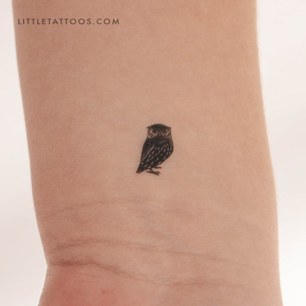 Tiny Owl Temporary Tattoo - Set of 3
