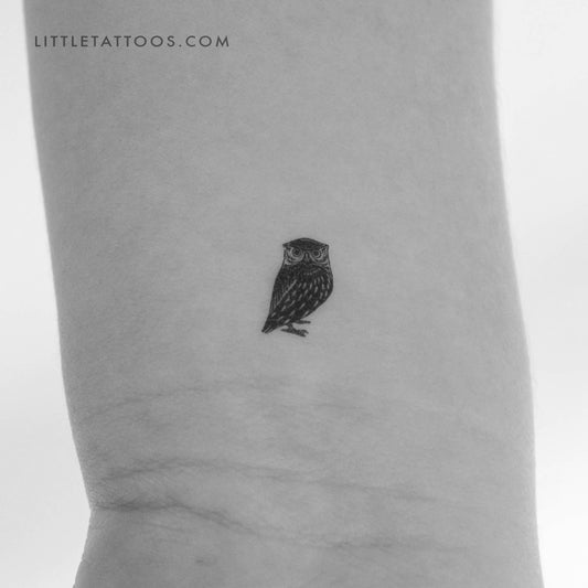 Tatuaje temporal de búho pequeño - Juego de 3