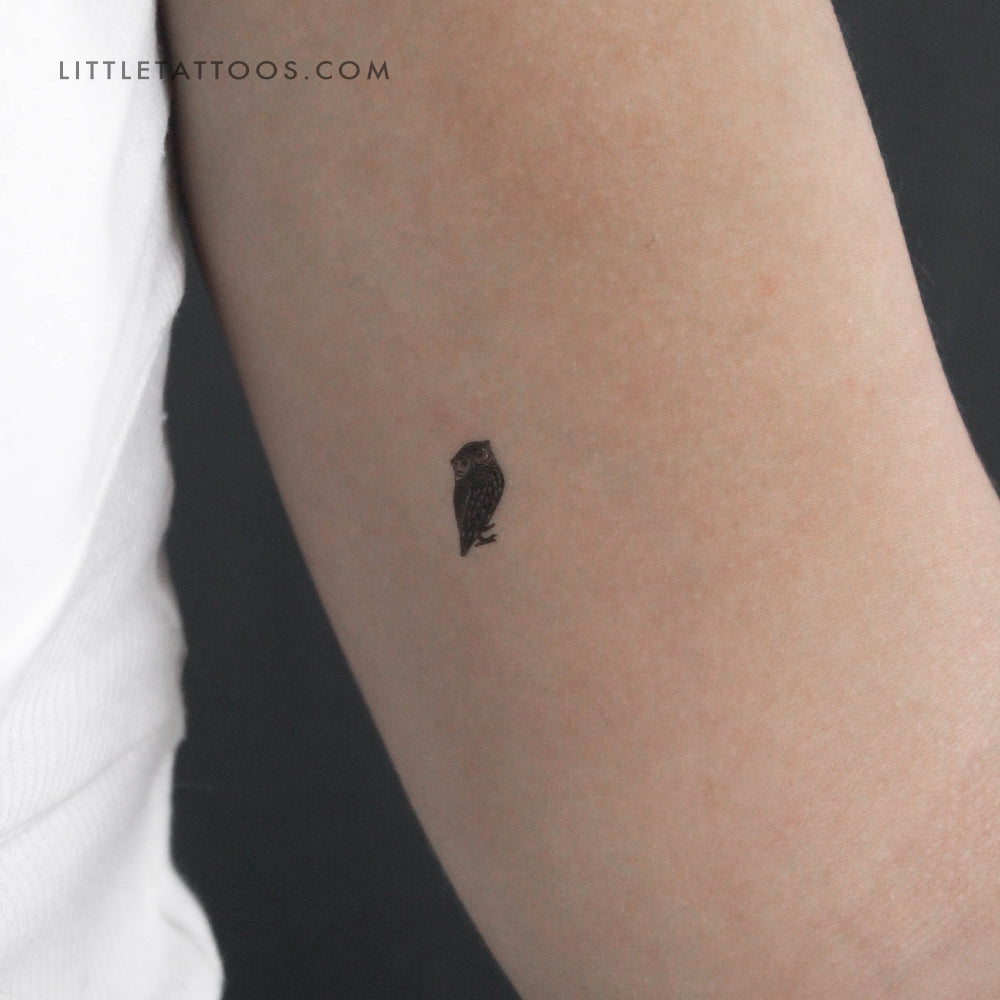 Tiny Owl Temporary Tattoo - Set of 3
