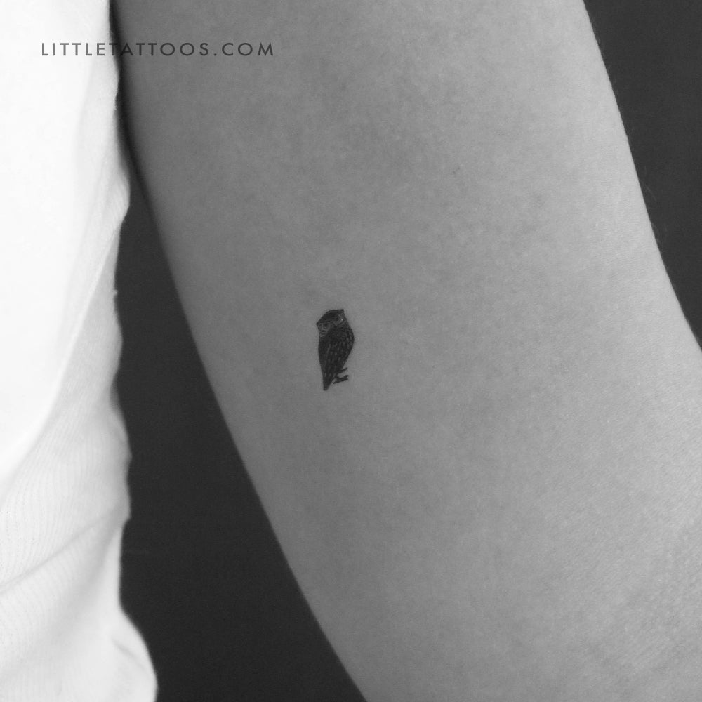 Tiny Owl Temporary Tattoo - Set of 3