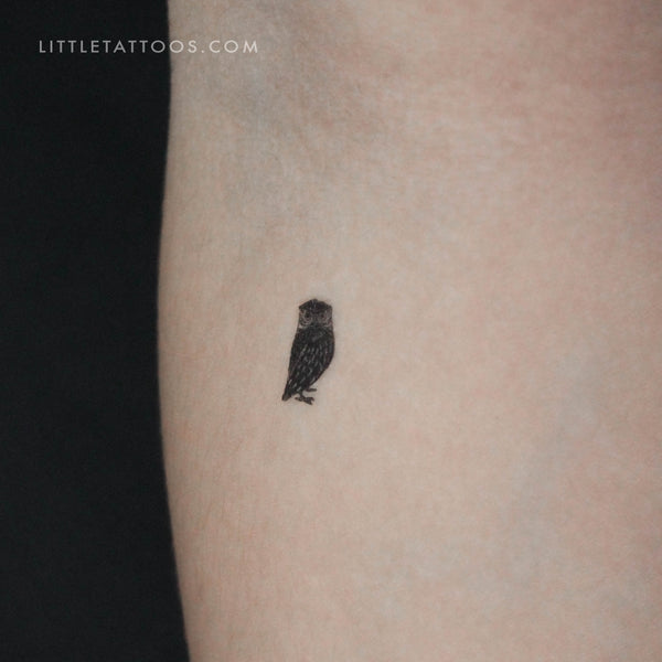 Tiny Owl Temporary Tattoo - Set of 3