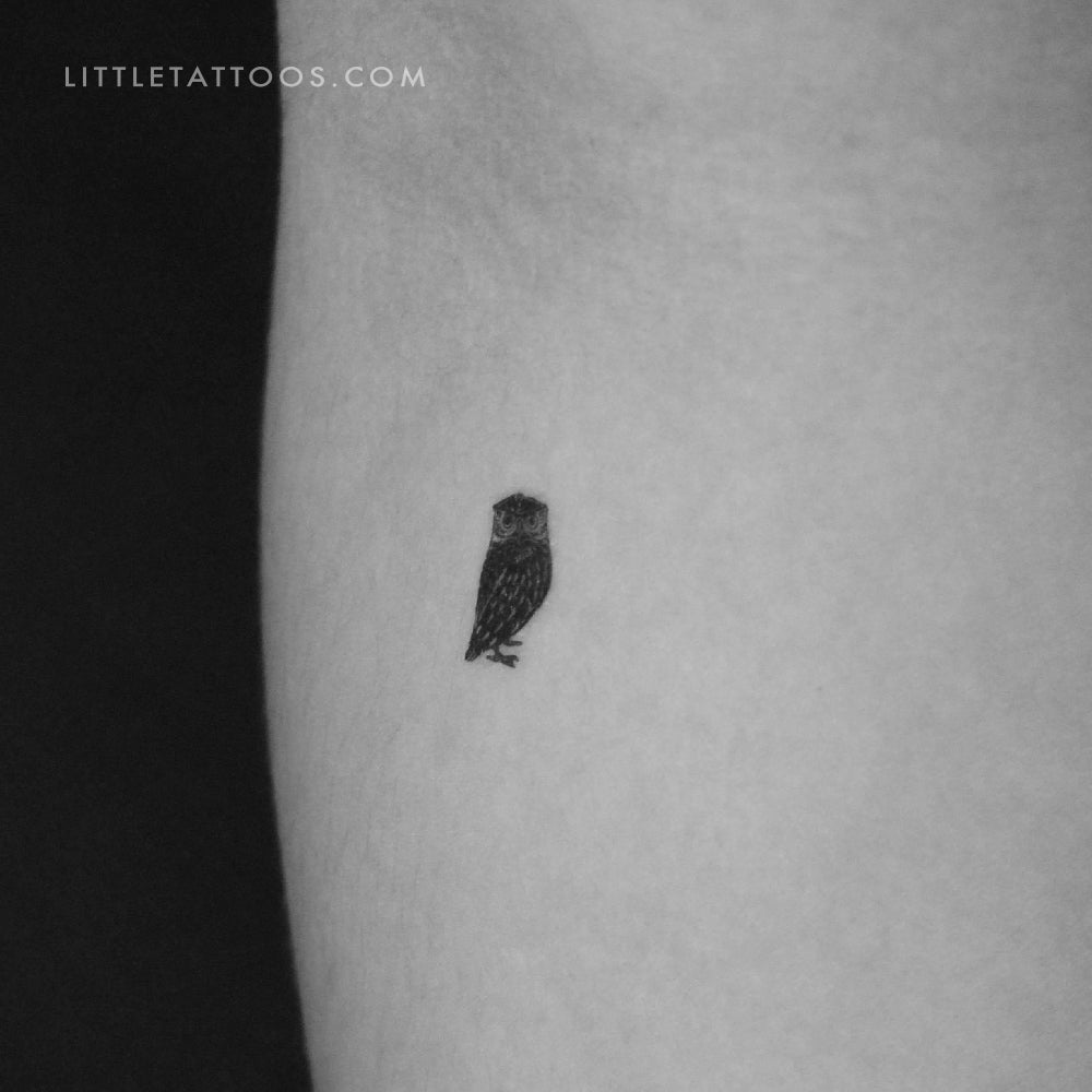 Tiny Owl Temporary Tattoo - Set of 3