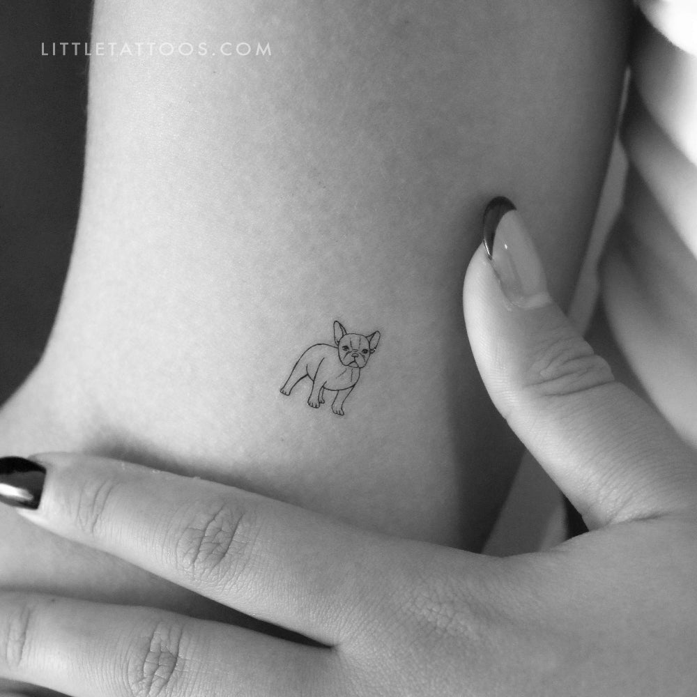 Tatuaje temporal de bulldog francés pequeño (juego de 3)