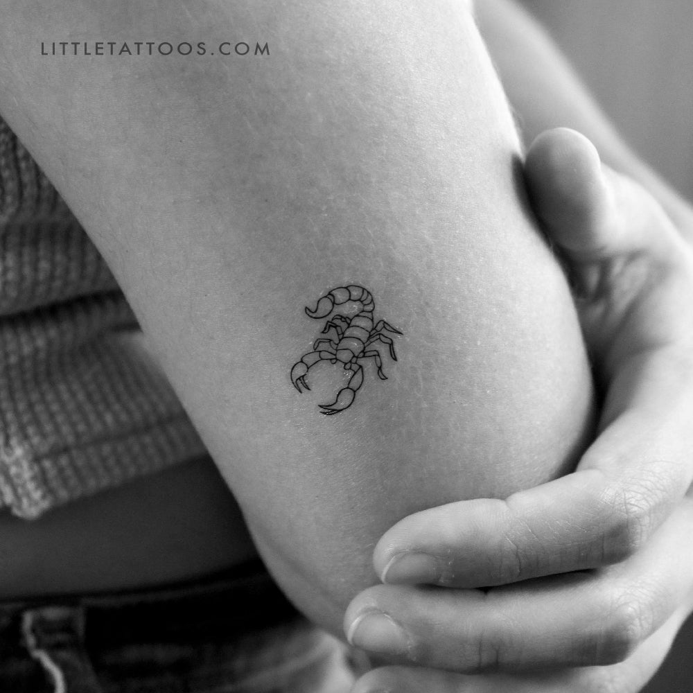 Tatuaje temporal de escorpión - Juego de 3