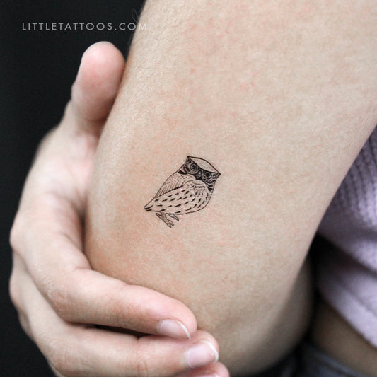 Tatuaje temporal de búho - Juego de 3