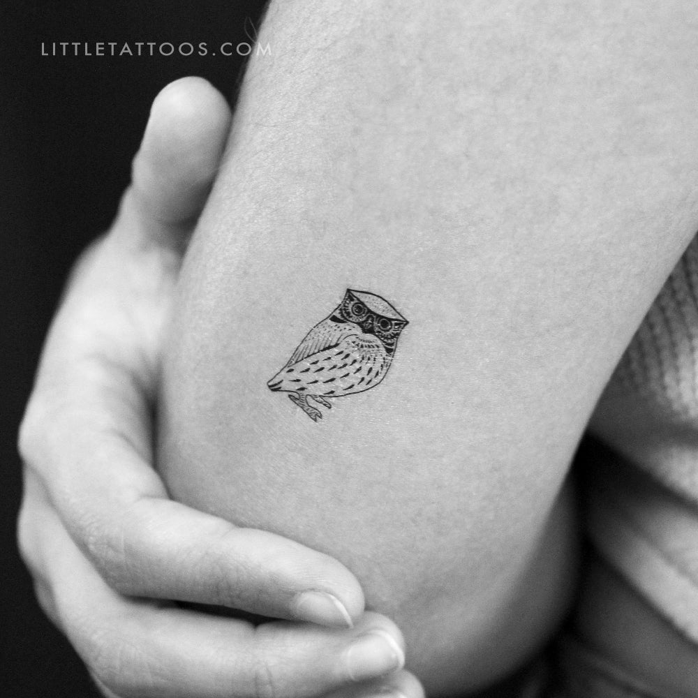Owl Temporary Tattoo - Set of 3