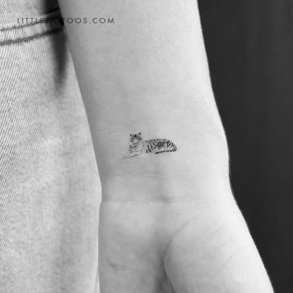 Resting Tiger Temporary Tattoo - Set of 3