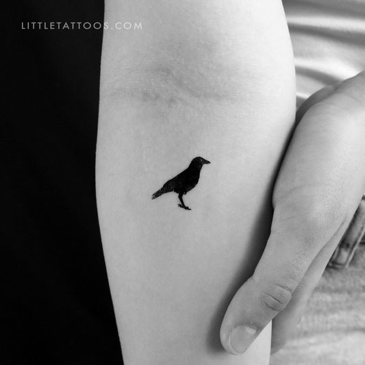 Tatuaje temporal de cuervo - Juego de 3