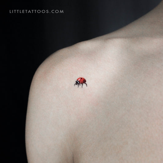 Tatuaje temporal de mariquita - Juego de 3