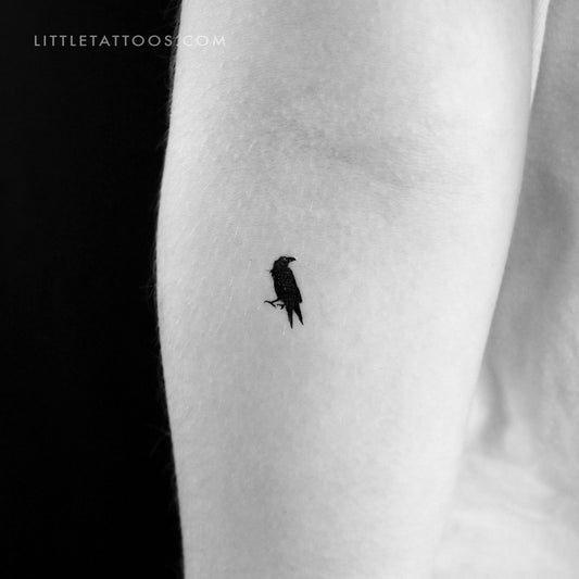 Tatuaje temporal de cuervo pequeño - Juego de 3