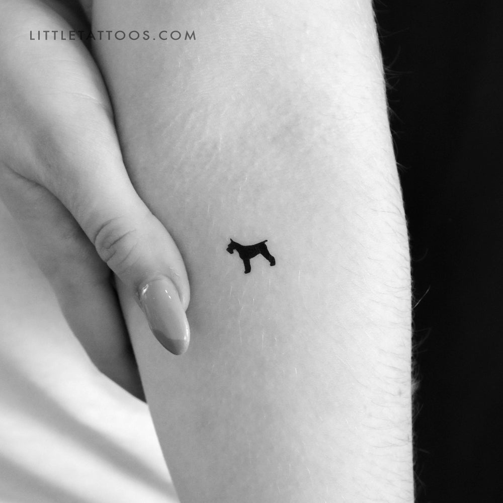 Tatuaje temporal de Schnauzer pequeño - Juego de 3