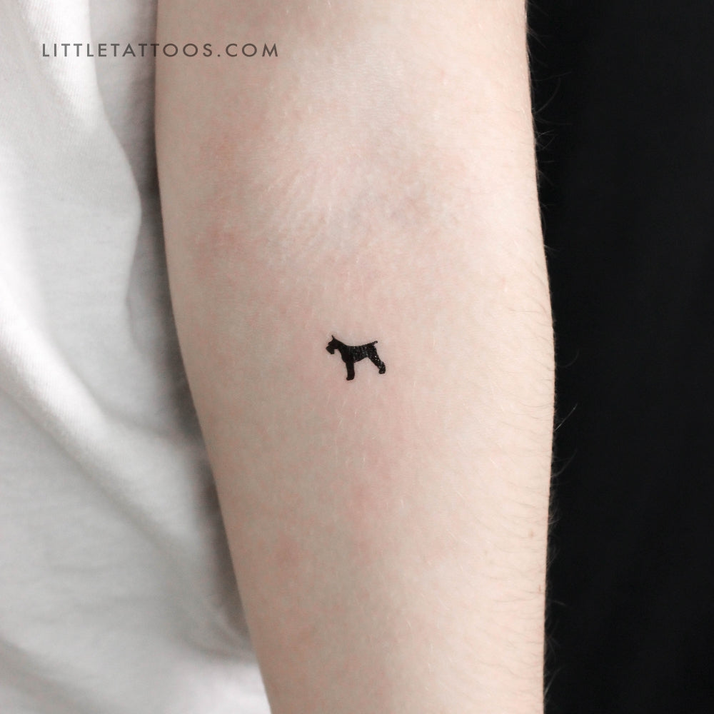 Tatuaje temporal de Schnauzer pequeño - Juego de 3