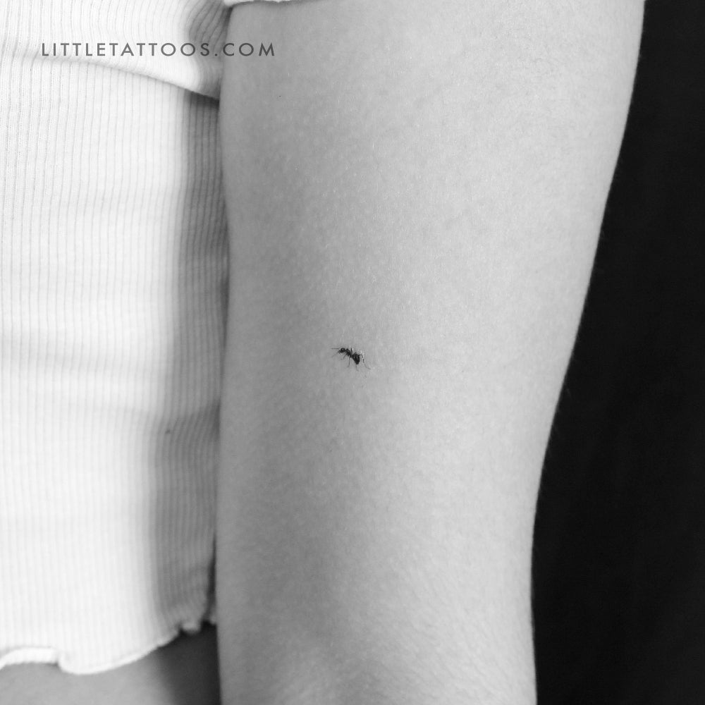 Tatuaje temporal de hormiga - Juego de 3
