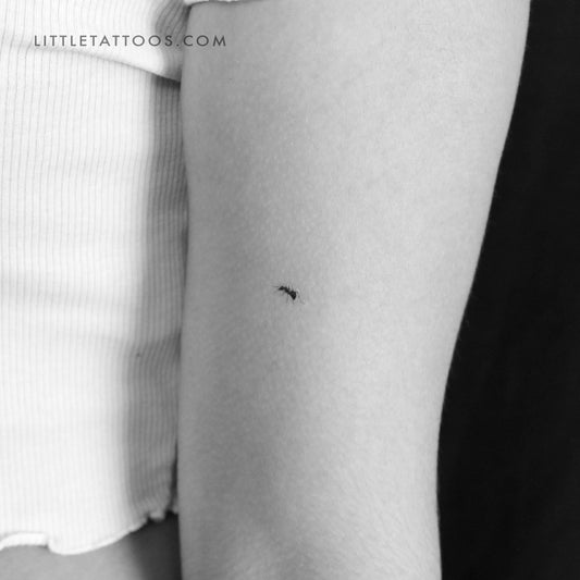 Tatuaje temporal de hormiga - Juego de 3