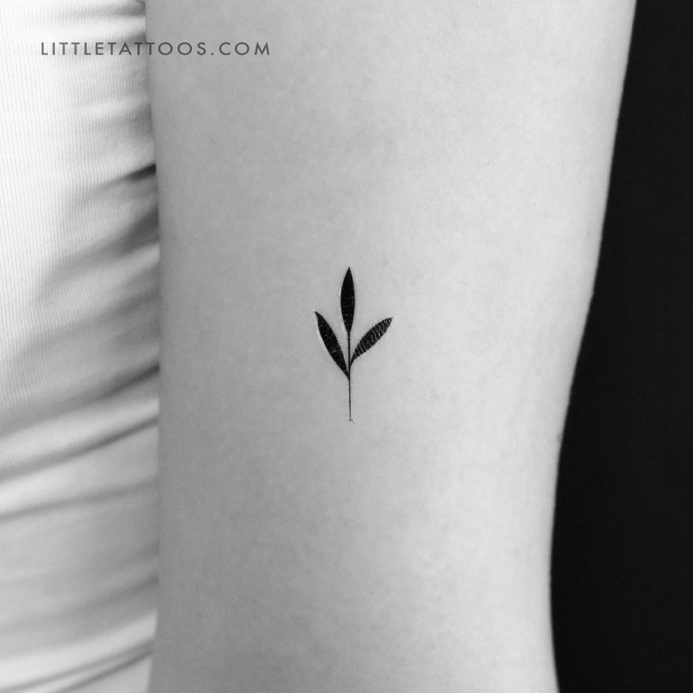 Tatuaje temporal de brote pequeño - Juego de 3
