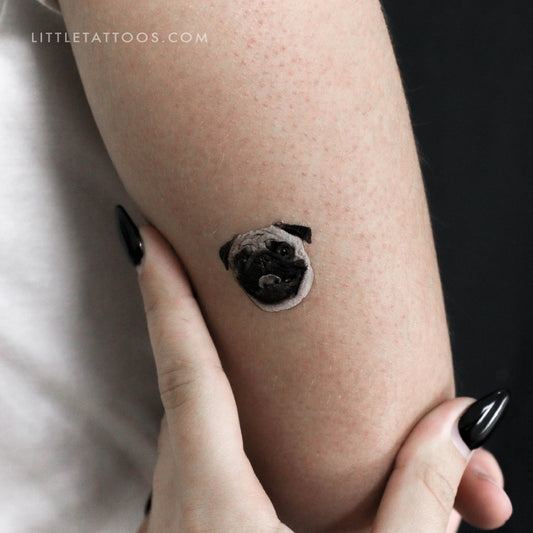 Pug Portrait Temporary Tattoo - Set of 3