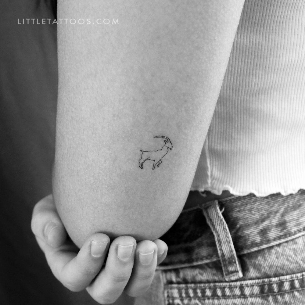 Tatuaje temporal de cabra montés - Juego de 3