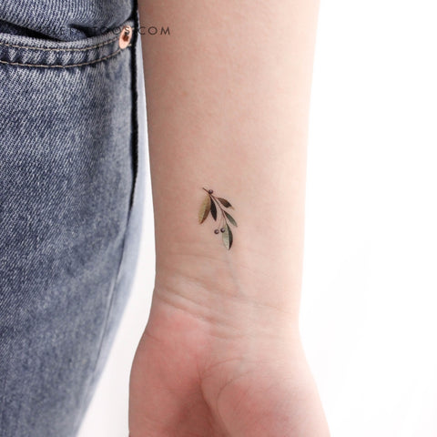 Little Olive Branch By Ann Lilya Temporary Tattoo - Set of 3