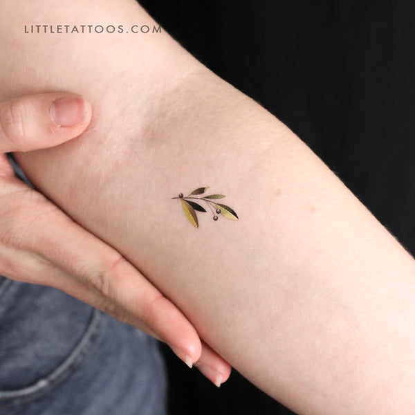 Little Olive Branch By Ann Lilya Temporary Tattoo - Set of 3