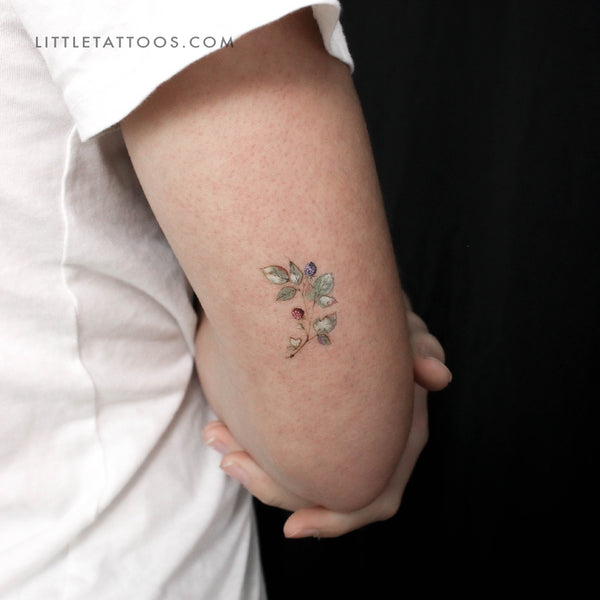 Small Rasperry By Ann Lilya Temporary Tattoo - Set of 3