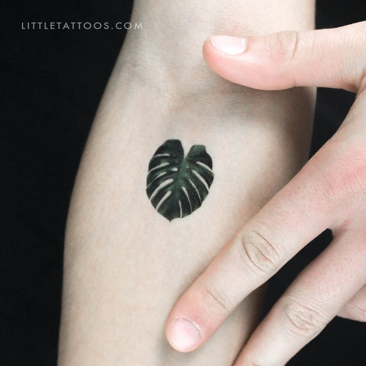 Monstera Deliciosa Leaf Temporary Tattoo - Set of 3