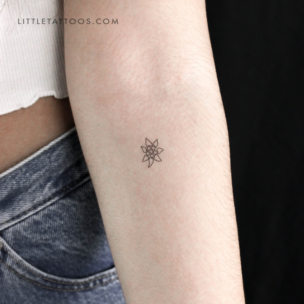 Tatuaje temporal de contorno de edelweiss - Juego de 3