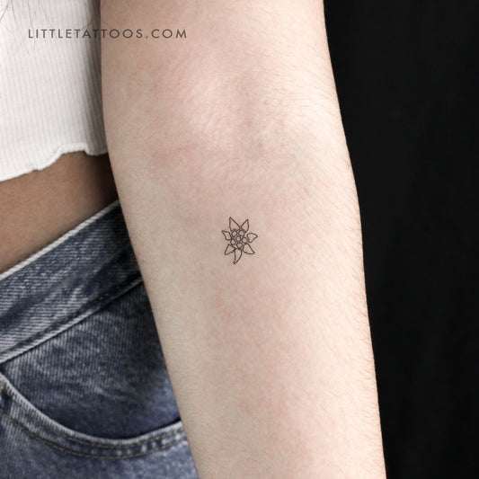 Tatuaje temporal de contorno de edelweiss - Juego de 3