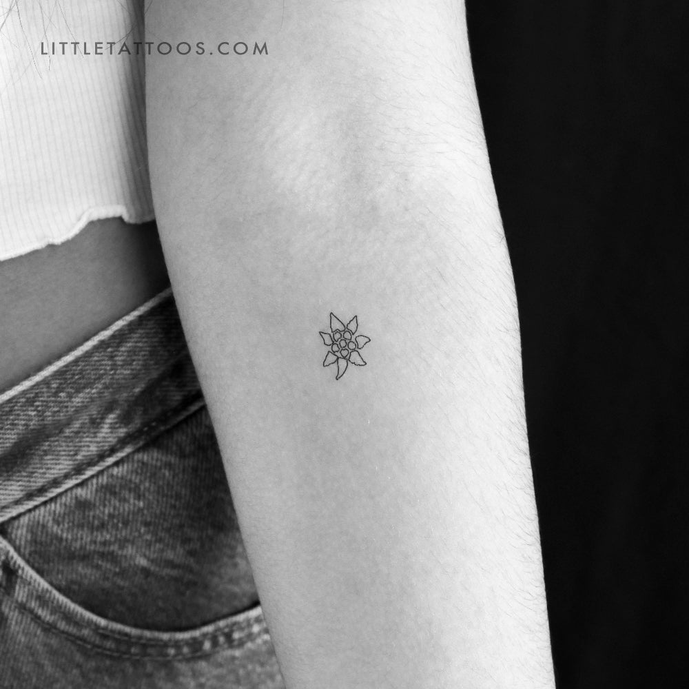 Tatuaje temporal de contorno de edelweiss - Juego de 3