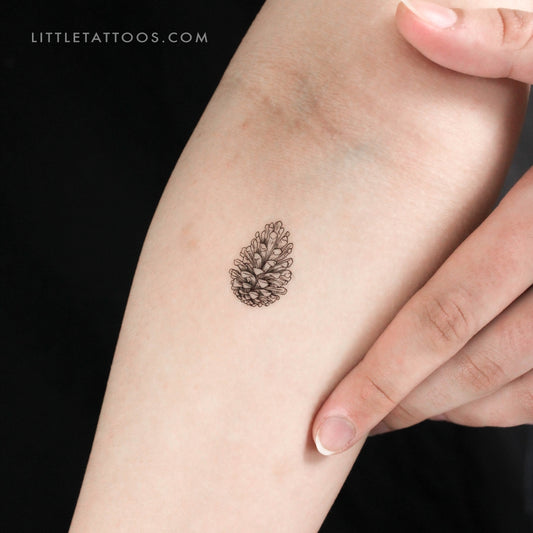 Tatuaje temporal de cono de conífera - Juego de 3