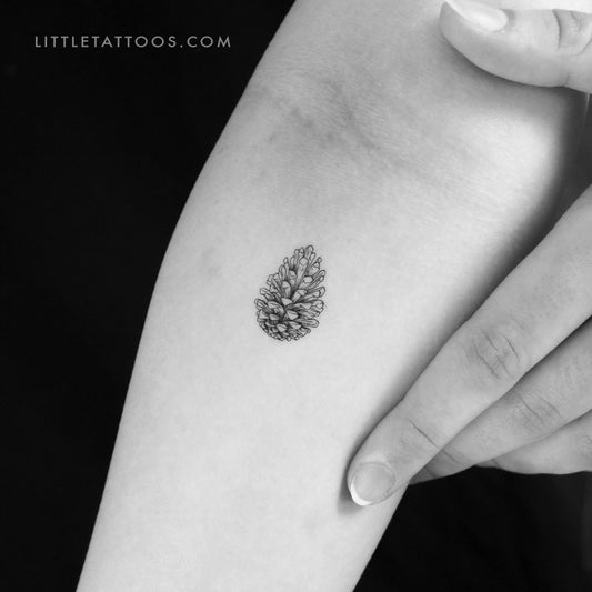 Tatuaje temporal de cono de conífera - Juego de 3