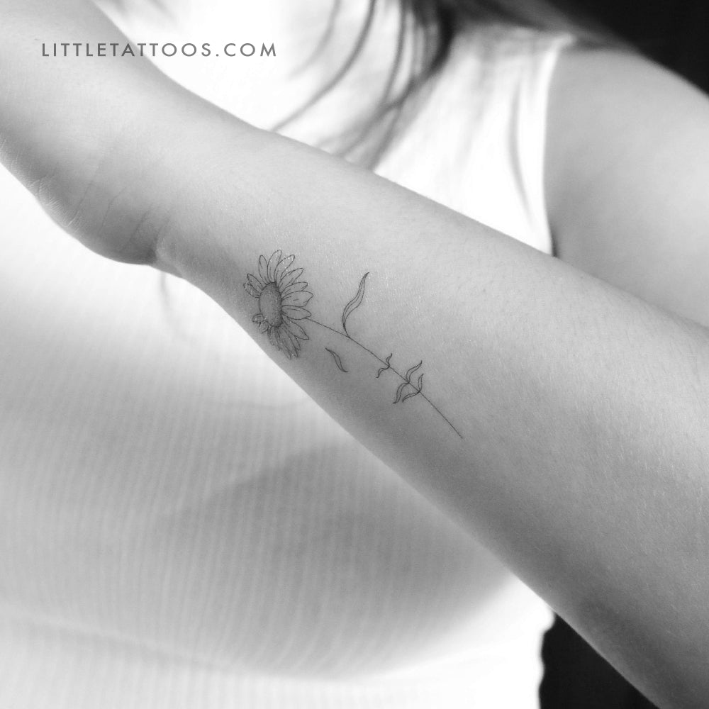Tatuaje temporal "Una margarita soñadora" de Jakenowicz - Juego de 3