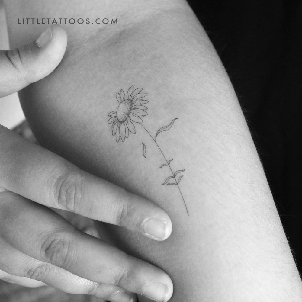 Tatuaje temporal "Una margarita soñadora" de Jakenowicz - Juego de 3