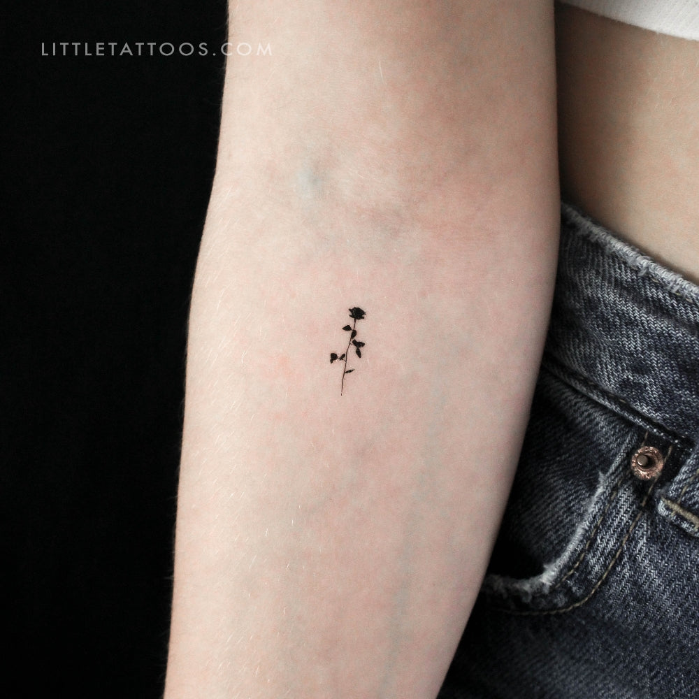 Tatuaje temporal de rosa negra pequeña (juego de 3)