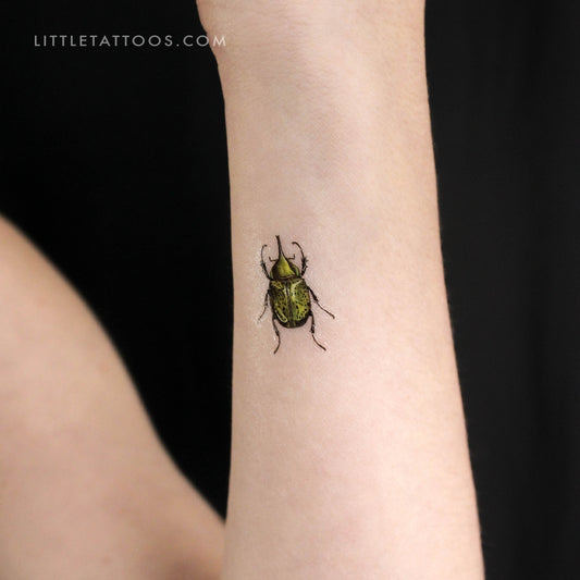 Tatuaje temporal de escarabajo Hércules - Juego de 3