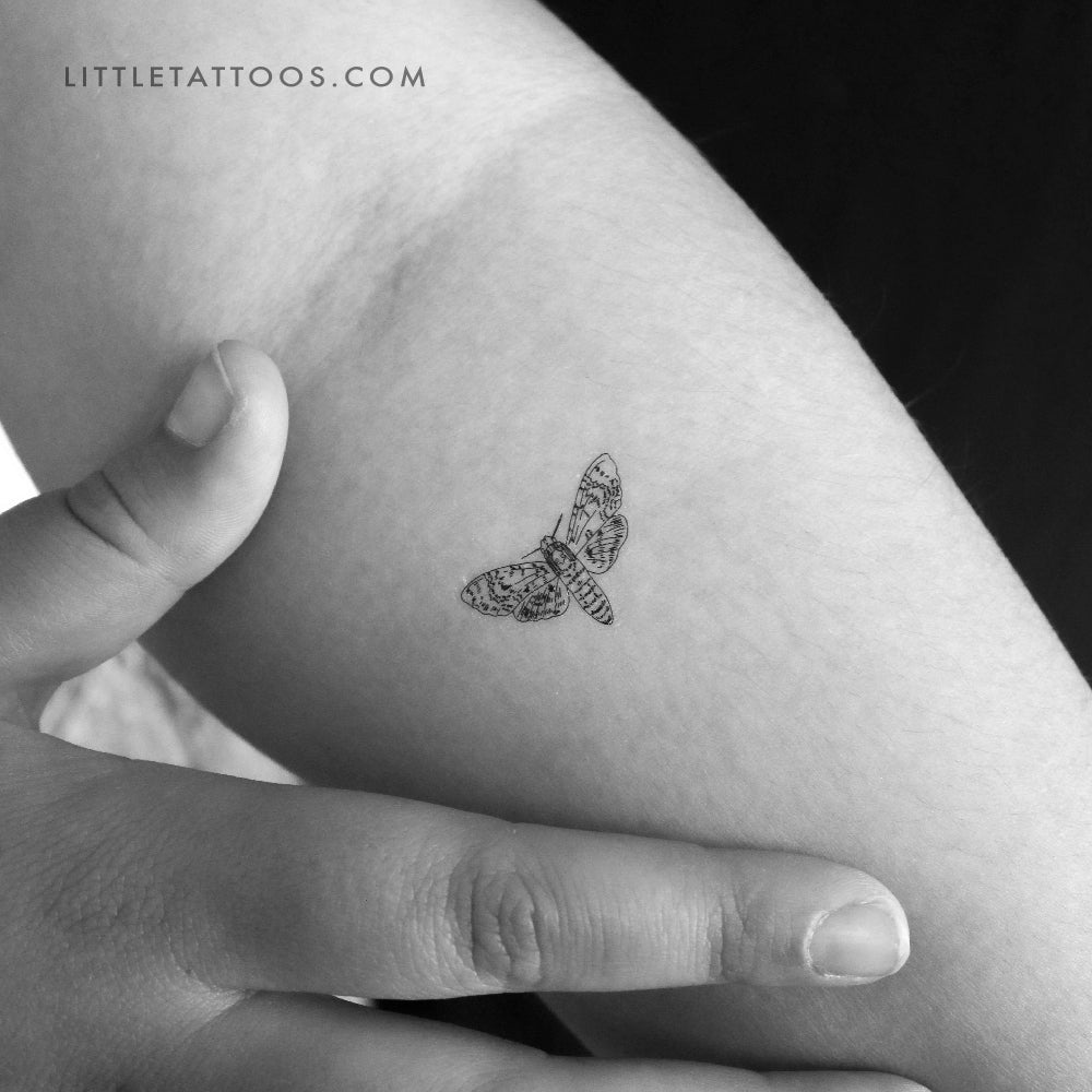 Small Moth Temporary Tattoo - Set of 3