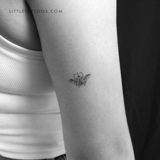 Tatuaje temporal de escarabajo Hércules volador - Juego de 3