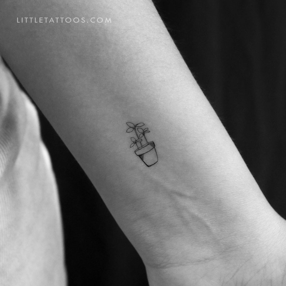 Tatuaje temporal de planta - Juego de 3