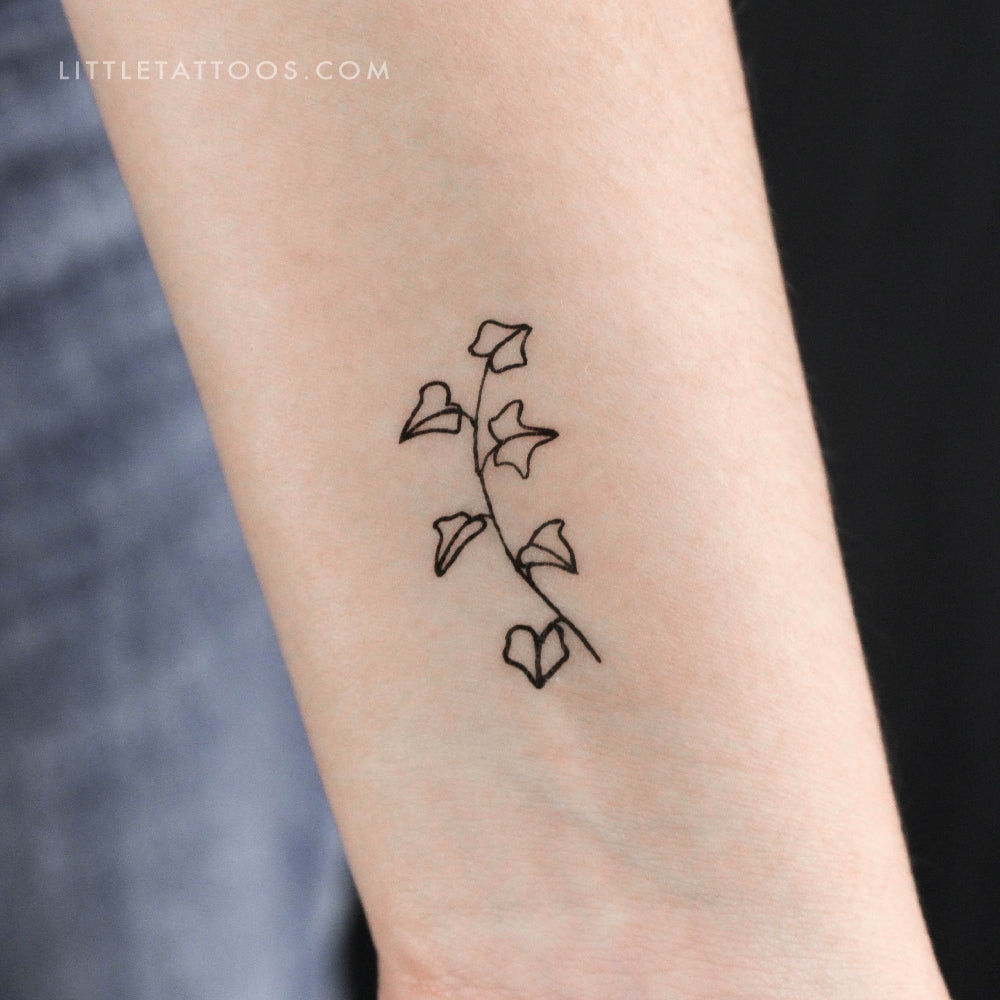 Tatuaje temporal de hiedra - Juego de 3