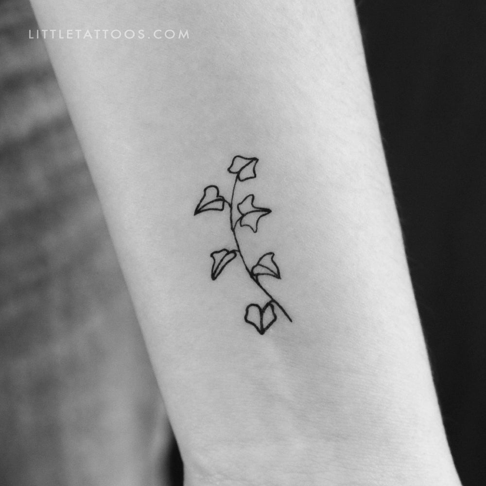 Tatuaje temporal de hiedra - Juego de 3